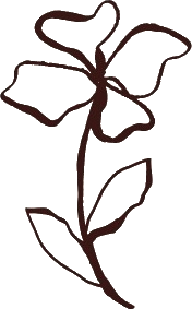 Logo Iris